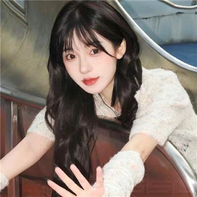 维也纳血案第一季