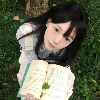 搏击之王4入侵者